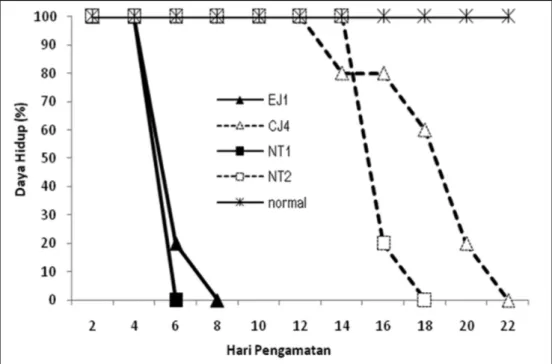 Gambar 1.   Daya hidup mencit yang diinfeksi Trypanosoma evansi (10 4 /ekor) dari isolate :  EJ1, CJ4, NT1 dan NT2  EJ1  =   Isolat Bangkalan 