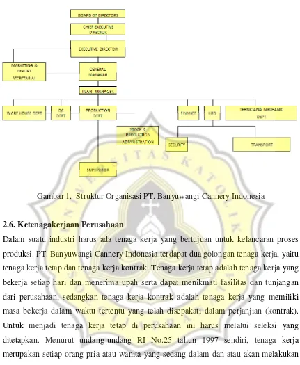 Gambar 1.  Struktur Organisasi PT. Banyuwangi Cannery Indonesia 
