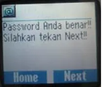 Gambar 4.24  Tampilan pesan jika password benar 