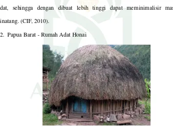 Gambar II.33 Rumah Adat Papua Barat (CIF, 2010) 
