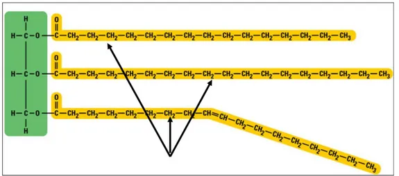 Gambar 2.3. Struktur umum trigliserida
