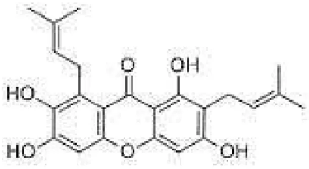 Gambar 3.10. Struktur molekul γ-mangostin