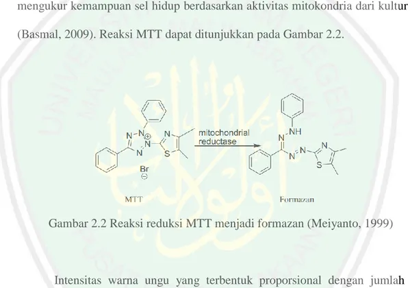 Gambar 2.2 Reaksi reduksi MTT menjadi formazan (Meiyanto, 1999) 