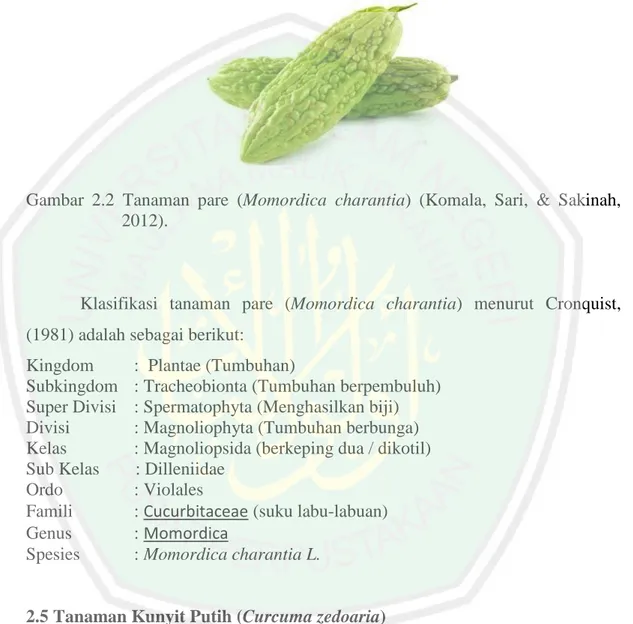 Gambar  2.2  Tanaman  pare  (Momordica  charantia)  (Komala,  Sari,  &amp;  Sakinah,  2012)