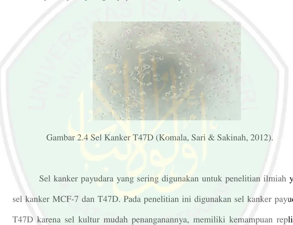 Gambar 2.4 Sel Kanker T47D (Komala, Sari &amp; Sakinah, 2012). 