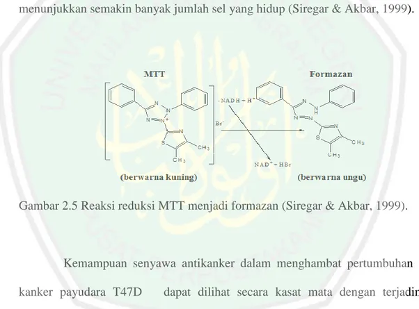 Gambar 2.5 Reaksi reduksi MTT menjadi formazan (Siregar &amp; Akbar, 1999). 