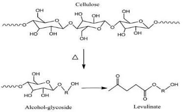 Gambar 5. Skema reaksi antara gliserol dan selulosa 
