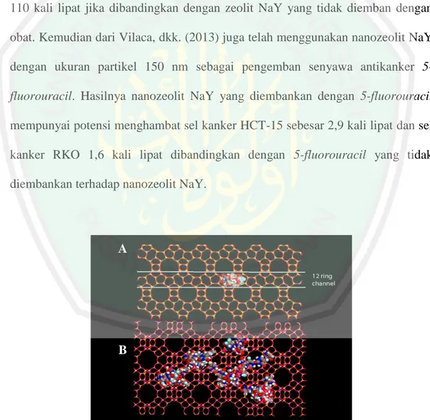 Gambar  2.6  Simulasi  5-fluorouracil  dalam  kerangka  zeolit  a)  BEA,  b)  NaX  (Spanakis, dkk., 2013) 
