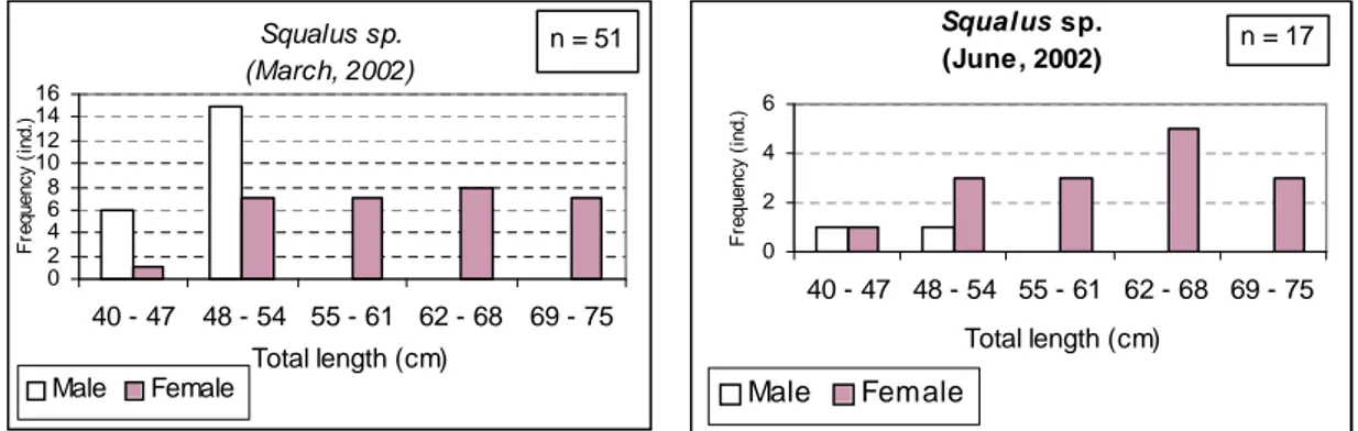 Gambar 2 (a, b). Frekuesi panjang cucut botol jantan dan betina bulan Maret dan Juni 2002.