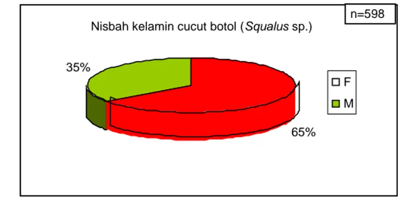 Gambar 4. Nisbah kelamin cucut botol.