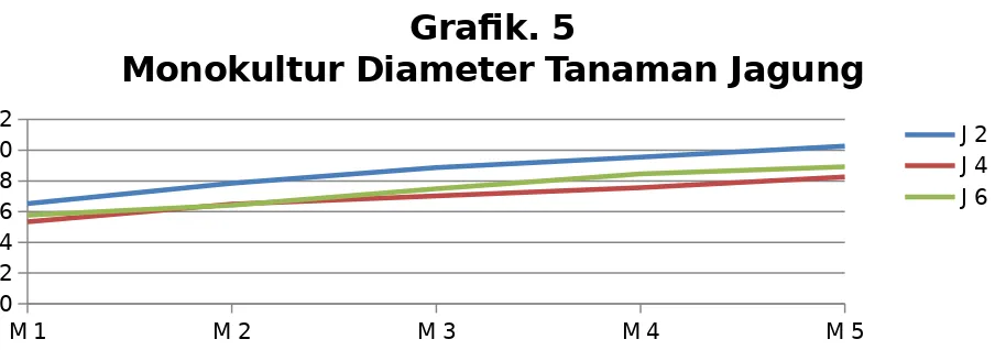 Grafik. 5Monokultur Diameter Tanaman Jagung