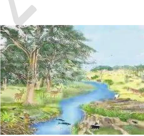 Gambar 1.1. Ekosistem 