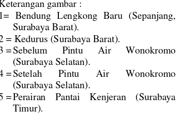 Tabel 1. Hasil pengukuran dan perhitungan 