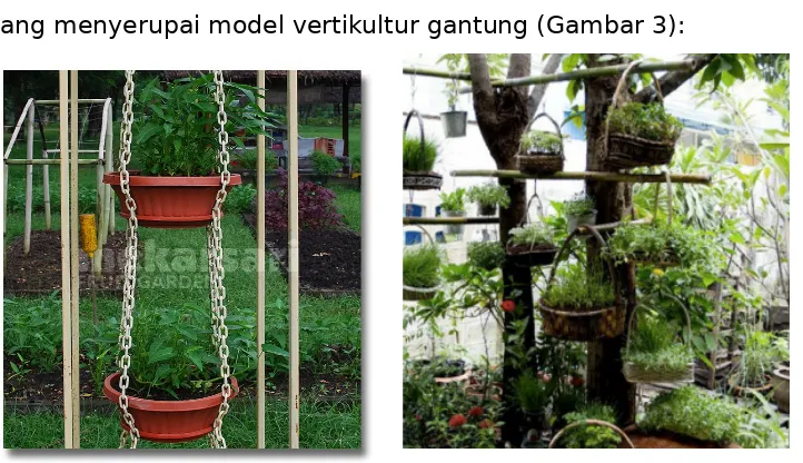 Gambar 3: Model vertikultur gantung