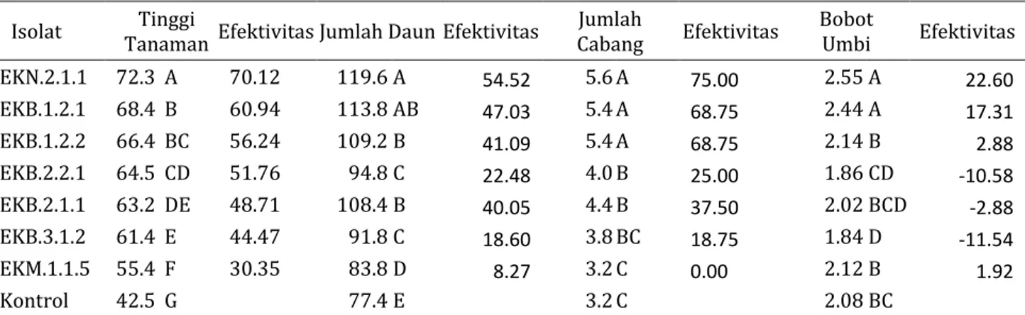 Tabel 1. Pertumbuhan dan hasil tanaman kentang yang diintroduksi dengan isolat bakteri endofit  Isolat  Tinggi 