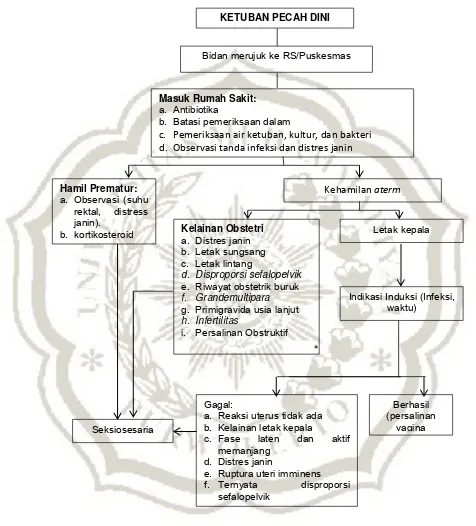 Gambar 2.1 Penatalaksanaan ketuban pecah dini (Manuaba, 2010; h. 285). 