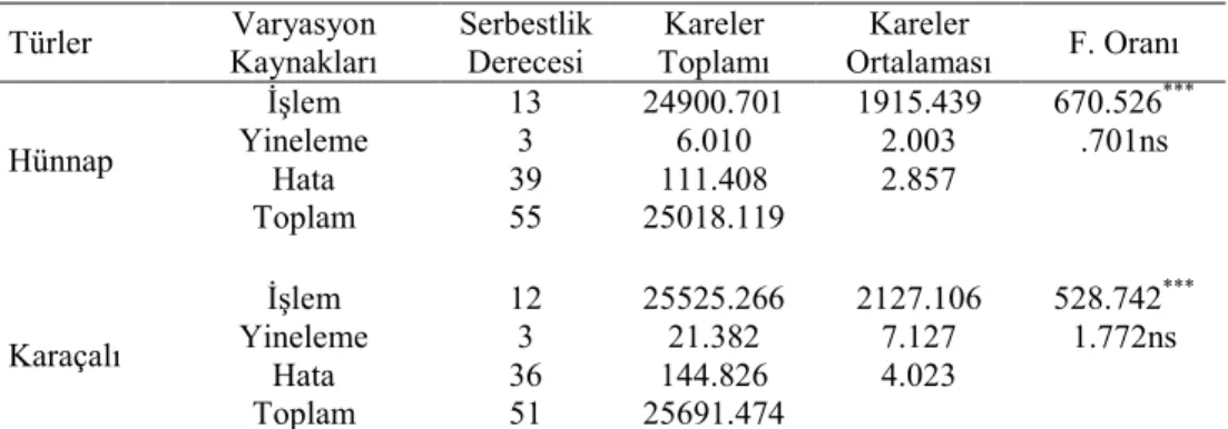 Çizelge  3.  Hünnap  ve  karaçalı  türlerinin  çimlenme  oranı  değerlerine  ait  varyans  analizi  sonuçları