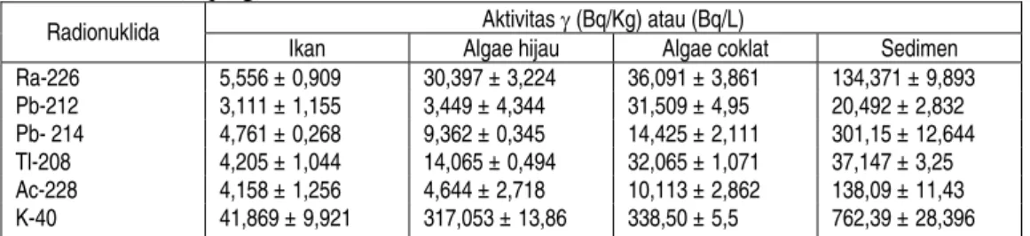 Tabel 2. Hasil pengukuran radioaktivitas γ dalam cuplikan ikan kerapu, algae. sedimen air  laut (Bq/Kg) 