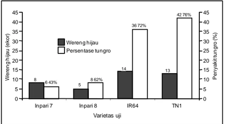 Gambar 1. Tingkat serangan tungro dan padat populasi wereng hijau ada varietas padi Inpari 7, Inpari 8, IR64, dan TN1, 4 MST.