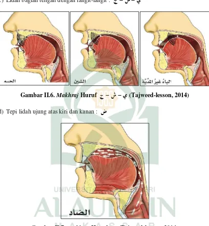 Gambar II.7. Makhraj ﺽ  Huruf (Tajweed-lesson, 2014) 
