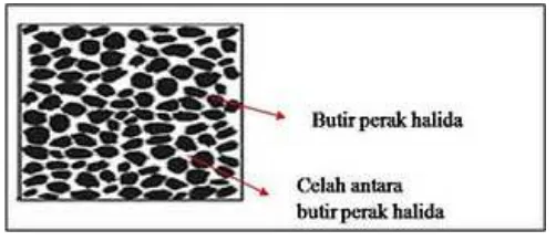 Gambar 2.7 Butir emulsi ukuran kecil 