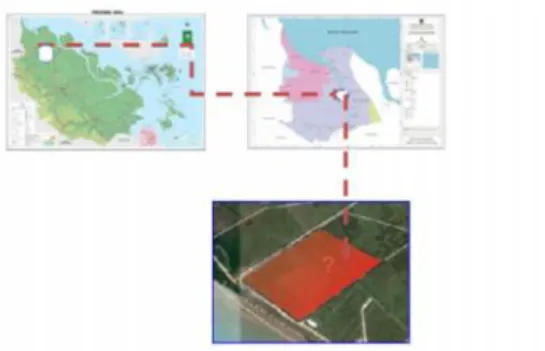 Gambar 1. Peta Provinsi Riau, Peta Rokan Hilir dan Peta Site