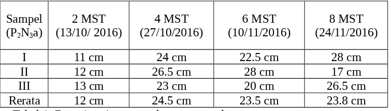 Tabel 1. Data tinggi tanaman bawang merah