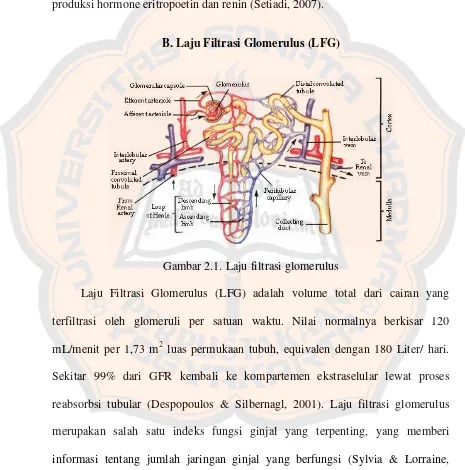 Gambar 2.1. Laju filtrasi glomerulus 