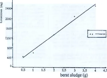 Gambar 3. Kurva hubungan antara konsentrasi P dan berat sludge.