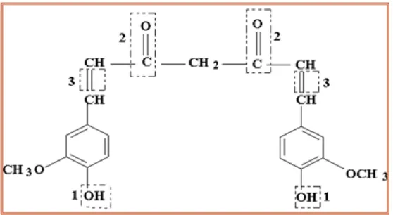 Gambar 5. Struktur senyawa kurkumin (Majeed, 1995) 