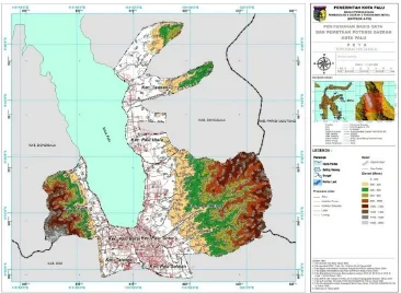 Gambar 7. Peta Topografi Kota Palu