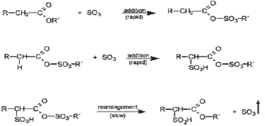Gambar 17 Mekanisme reaksi pembentukan α-sulfo fatty ester (Kapur et al. 1978)  