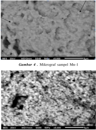Gambar 4 . Mikrograf sampel Mn-1