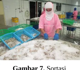 Gambar 7. Sortasi 