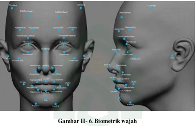 Gambar II- 6. Biometrik wajah 