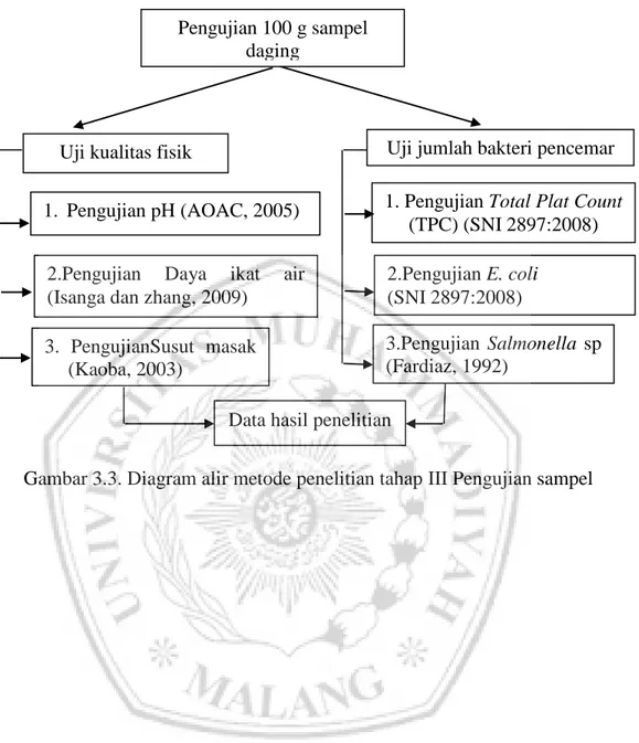 Gambar 3.3. Diagram alir metode penelitian tahap III Pengujian sampelPengujian 100 g sampel 