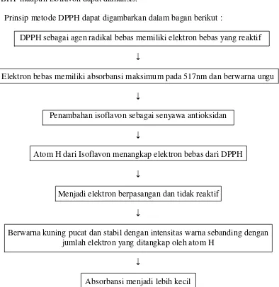 Gambar  7. Bagan mekanisme reaksi DPPH dengan isoflavon 