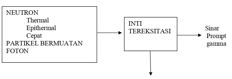 Gambar 1. Diagram Aktivasi Neutron 