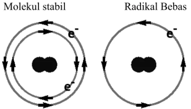 Gambar 1. Struktur Elektron Molekul Stabil dan Radikal Bebas 36