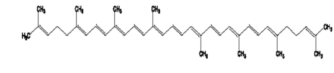 Gambar 9. Struktur Kimia Likopen 53