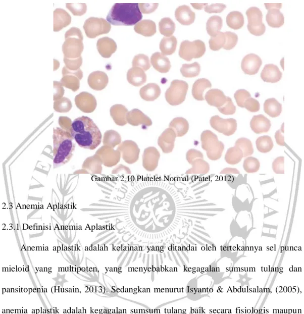 Gambar 2.10 Platelet Normal (Patel, 2012) 