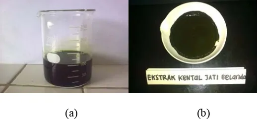 Gambar 2. Ekstrak cair (a) dan ekstrak kental (b) etanolik daun jati belanda  