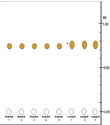 Gambar 5.   Kromatogram larutan standar friedelin-3βetanolik daun jati belanda setelah disemprot pereaksi antimon (III) klorida-ol dan sampel ekstrak  pada deteksi sinar tampak  