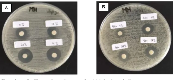 Gambar 2. Zona hambat pada (A) bakteri S. pyogenes  dan (B) S. dysenteriae 