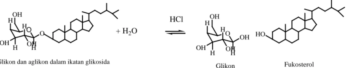 Gambar 2.3 Dugaan reaksi hidrolisis ikatan glikosida (Mardiyah, 2012) 