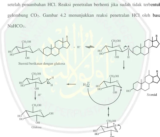 Gambar 4.1 Dugaan mekanisme reaksi hidrolisis pada steroid (Iyani, 2017) 