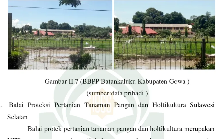 Gambar II.7 (BBPP Batankaluku Kabupaten Gowa ) 