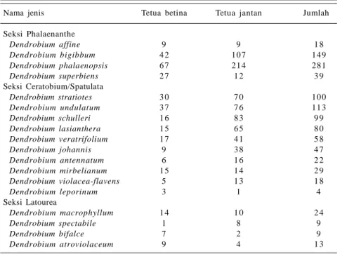 Tabel 3. Dendrobium sp. yang banyak digunakan sebagai tetua jantan dan betina dalam persilangan.