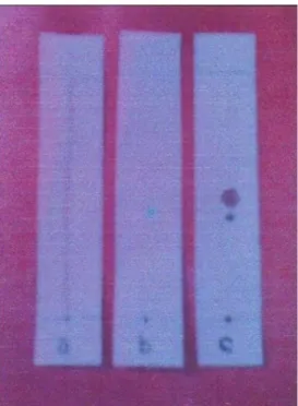 Gambar 2. Hasil kromatografi lapis tipis ekstrak etanol kulit batang sintok 