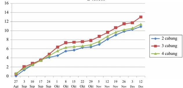 Gambar 5.  Perkembangan hasil total paprika varietas E 41.9560 yang ditanam dengan dua, tiga, dan empat  cabang per tanaman (The development of total yields of cv